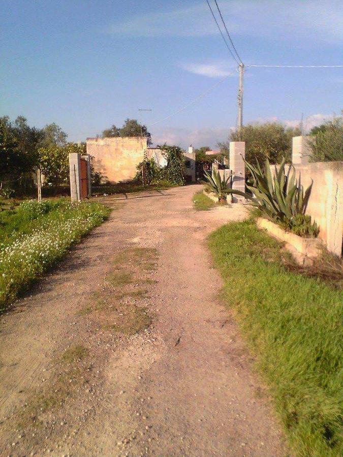 La Casa In Campagna Di Ottavia Alezio Exterior foto